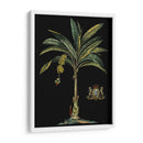 Palma Y Cresta En Negro I - Vision Studio | Cuadro decorativo de Canvas Lab