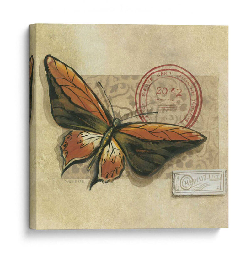 Le Papillon Ii - Marianne D. Cuozzo | Cuadro decorativo de Canvas Lab