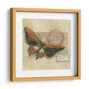 Le Papillon Ii - Marianne D. Cuozzo | Cuadro decorativo de Canvas Lab