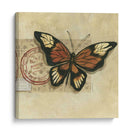 Le Papillon Iii - Marianne D. Cuozzo | Cuadro decorativo de Canvas Lab