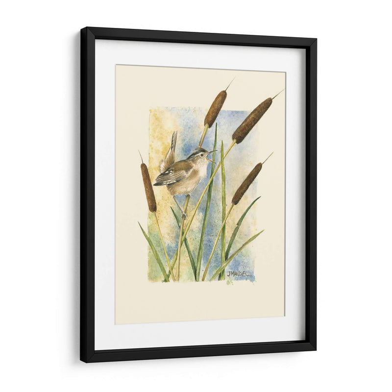 Marsh Wren Y Catrails - Janet Mandel | Cuadro decorativo de Canvas Lab