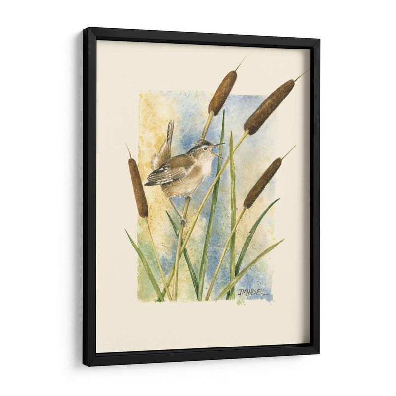 Marsh Wren Y Catrails - Janet Mandel | Cuadro decorativo de Canvas Lab