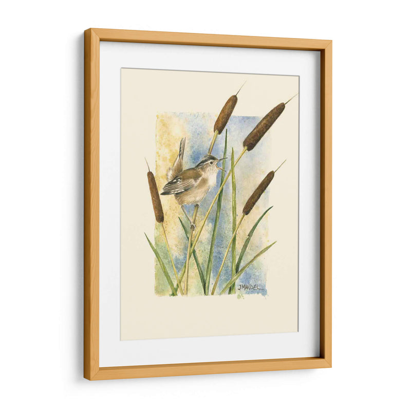 Marsh Wren Y Catrails - Janet Mandel | Cuadro decorativo de Canvas Lab