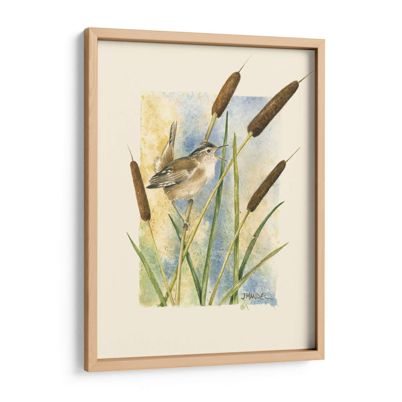 Marsh Wren Y Catrails - Janet Mandel | Cuadro decorativo de Canvas Lab