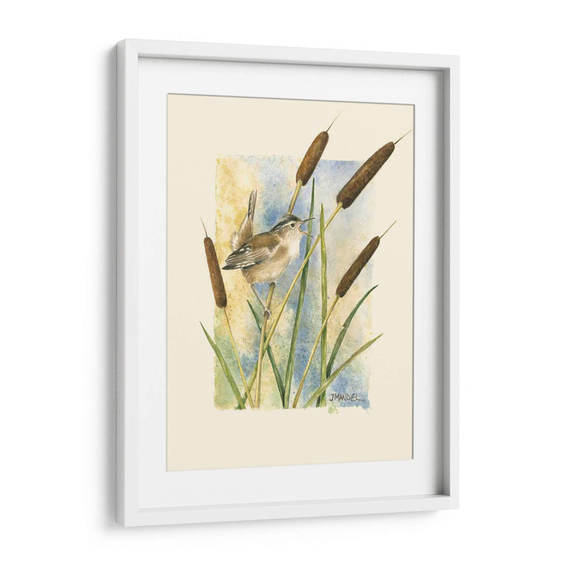 Marsh Wren Y Catrails - Janet Mandel | Cuadro decorativo de Canvas Lab