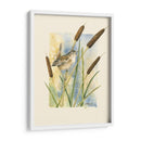 Marsh Wren Y Catrails - Janet Mandel | Cuadro decorativo de Canvas Lab