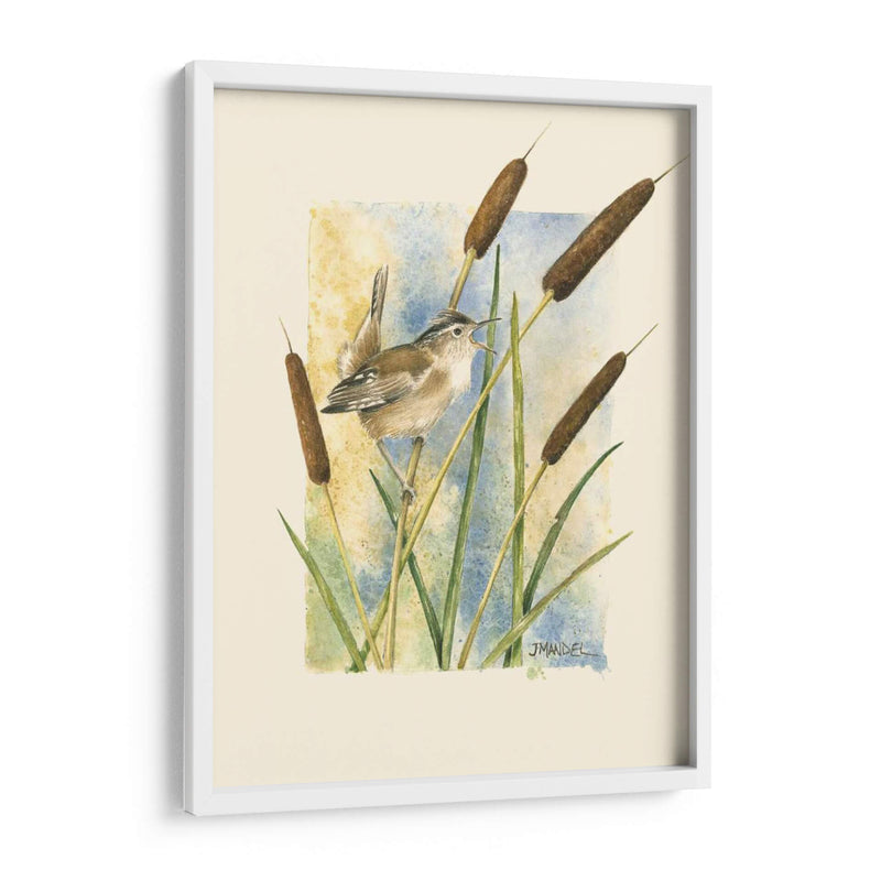 Marsh Wren Y Catrails - Janet Mandel | Cuadro decorativo de Canvas Lab