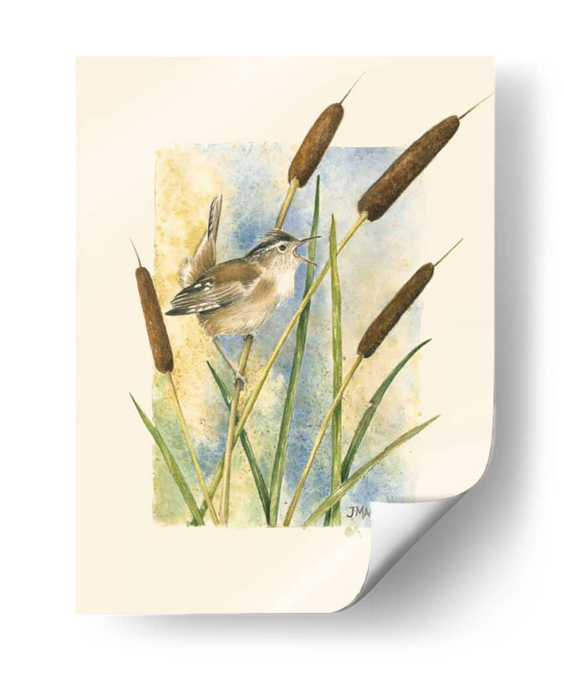 Marsh Wren Y Catrails - Janet Mandel | Cuadro decorativo de Canvas Lab