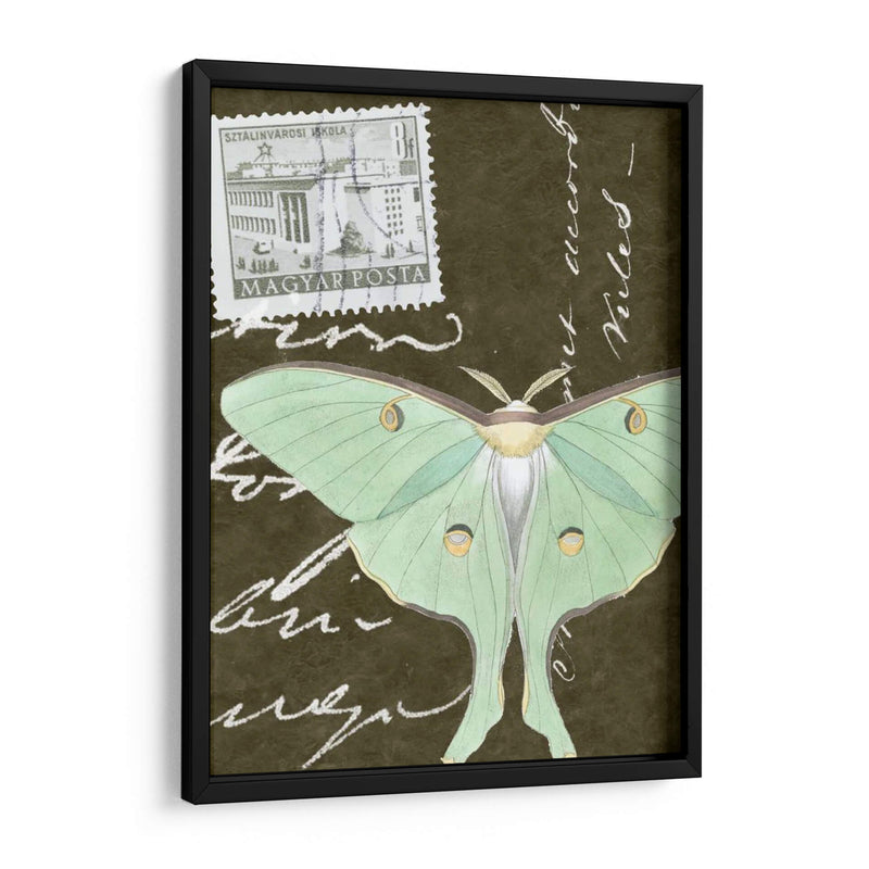 Le Papillon Script I - Vision Studio | Cuadro decorativo de Canvas Lab