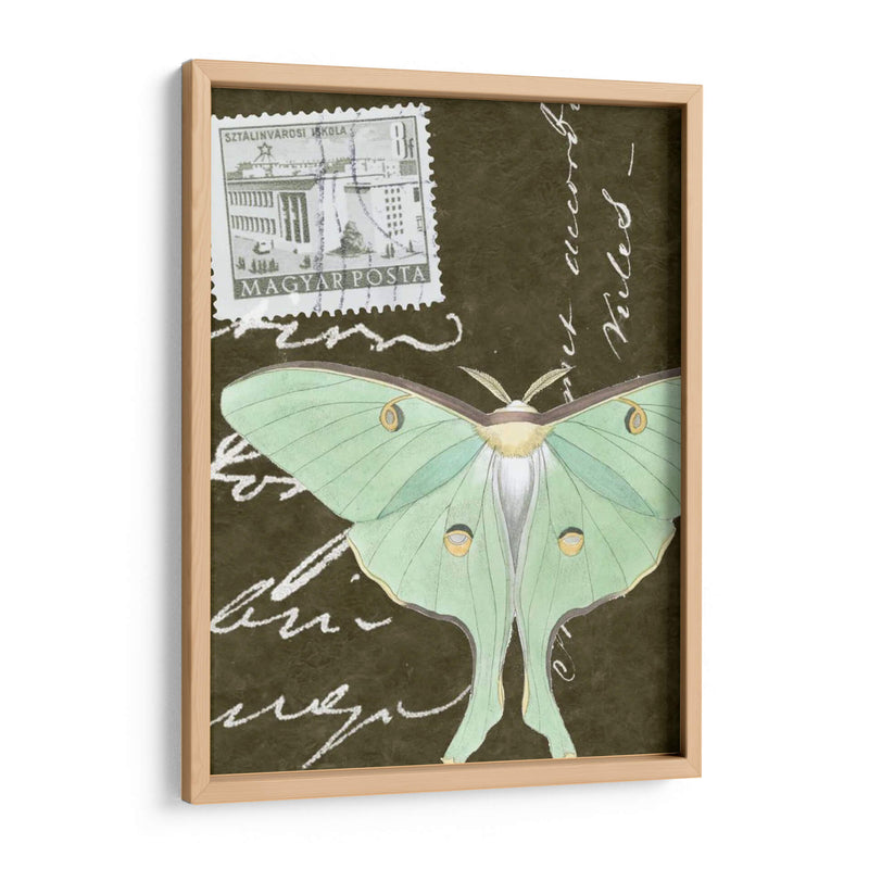 Le Papillon Script I - Vision Studio | Cuadro decorativo de Canvas Lab