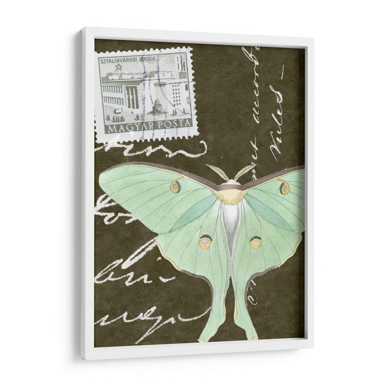 Le Papillon Script I - Vision Studio | Cuadro decorativo de Canvas Lab