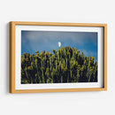 Sobre los cactus | Cuadro decorativo de Canvas Lab