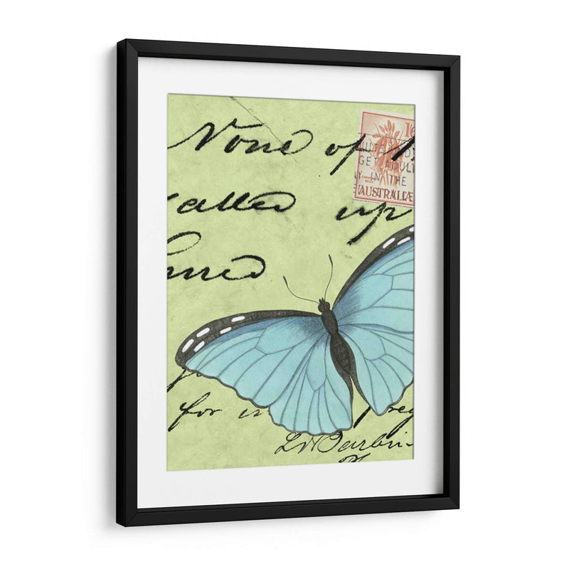 Le Papillon Script Iii - Vision Studio | Cuadro decorativo de Canvas Lab