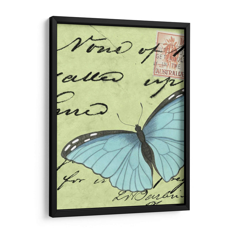 Le Papillon Script Iii - Vision Studio | Cuadro decorativo de Canvas Lab