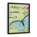 Le Papillon Script Iii - Vision Studio | Cuadro decorativo de Canvas Lab