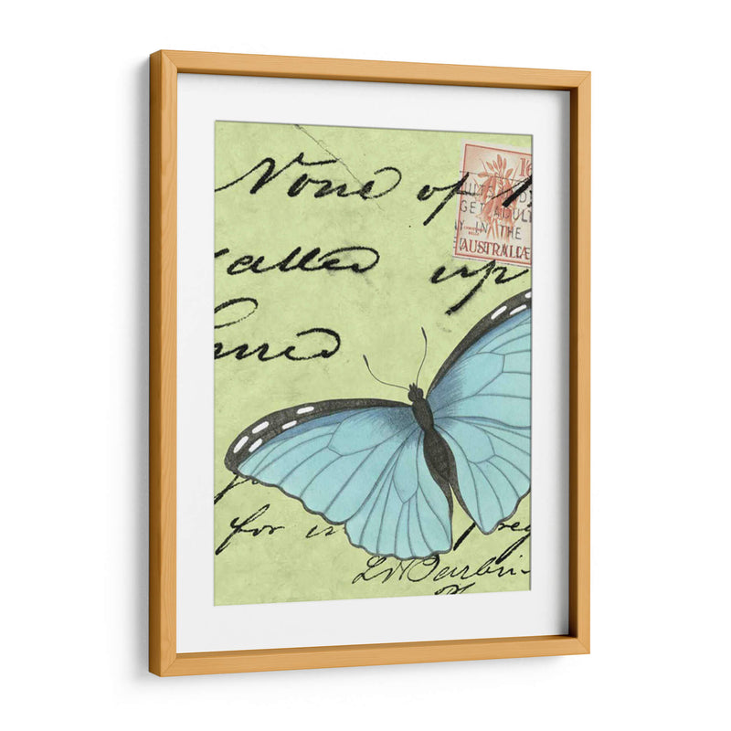 Le Papillon Script Iii - Vision Studio | Cuadro decorativo de Canvas Lab