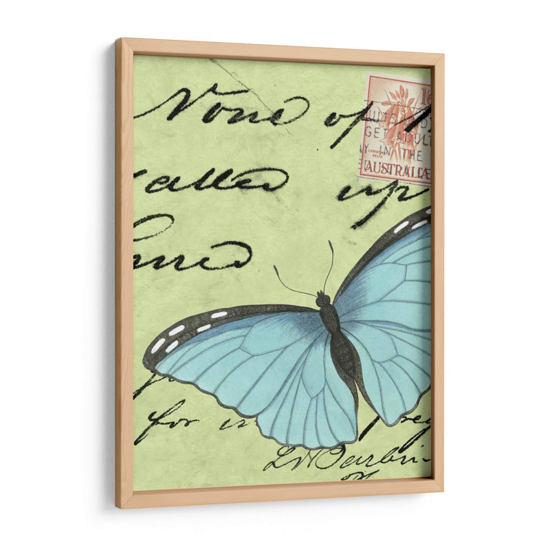 Le Papillon Script Iii - Vision Studio | Cuadro decorativo de Canvas Lab