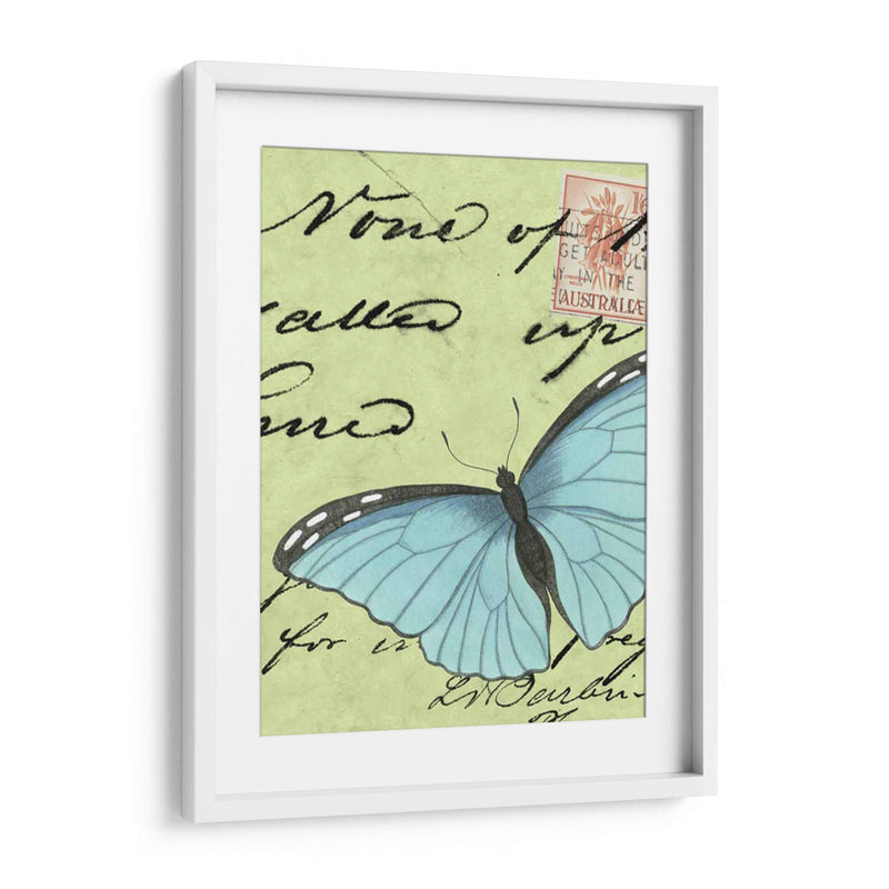 Le Papillon Script Iii - Vision Studio | Cuadro decorativo de Canvas Lab