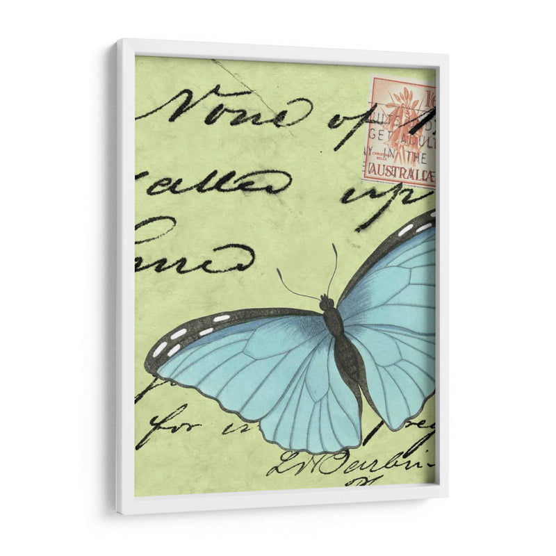 Le Papillon Script Iii - Vision Studio | Cuadro decorativo de Canvas Lab