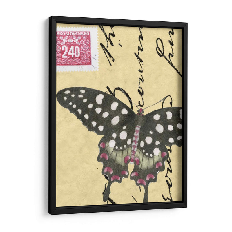 Le Papillon Script Iv - Vision Studio | Cuadro decorativo de Canvas Lab