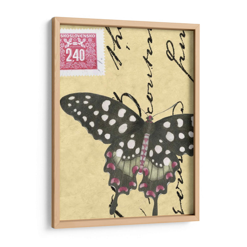 Le Papillon Script Iv - Vision Studio | Cuadro decorativo de Canvas Lab