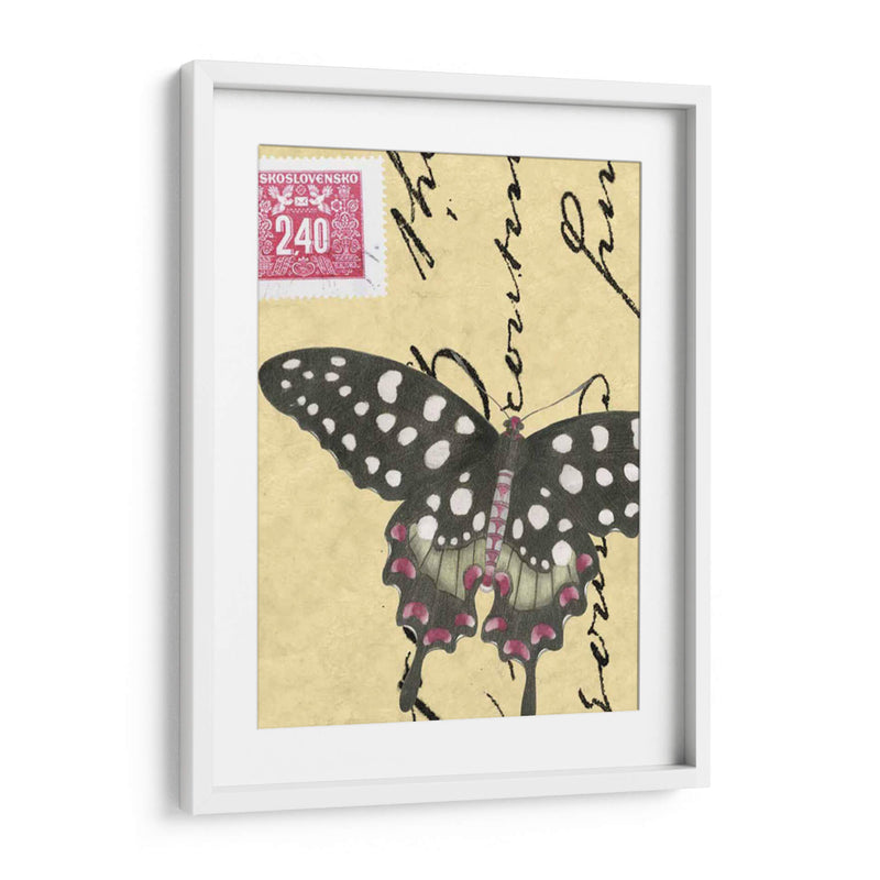 Le Papillon Script Iv - Vision Studio | Cuadro decorativo de Canvas Lab