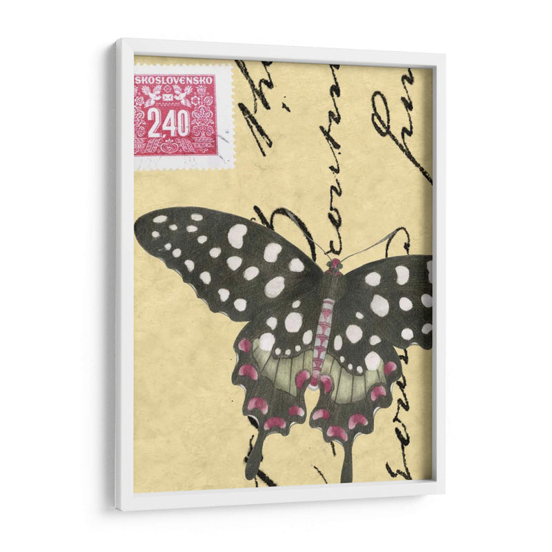 Le Papillon Script Iv - Vision Studio | Cuadro decorativo de Canvas Lab