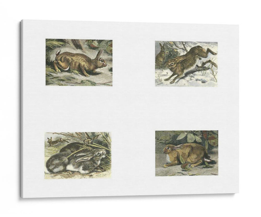 Micro Bunnies | Cuadro decorativo de Canvas Lab