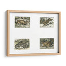 Micro Bunnies | Cuadro decorativo de Canvas Lab