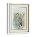 Garza Común - Frohawk | Cuadro decorativo de Canvas Lab