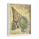 Arena Y Conchas I - Vision Studio | Cuadro decorativo de Canvas Lab