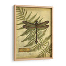 Libélulas Royal Iii - Vision Studio | Cuadro decorativo de Canvas Lab