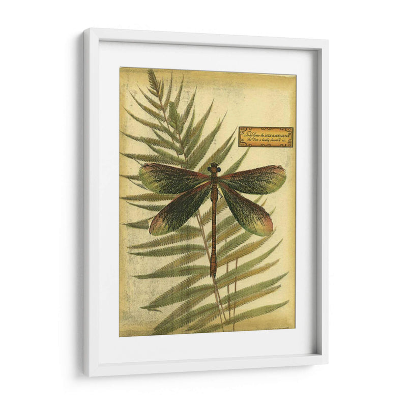 Dragonflies Reales Iv - Vision Studio | Cuadro decorativo de Canvas Lab