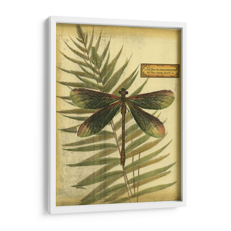 Dragonflies Reales Iv - Vision Studio | Cuadro decorativo de Canvas Lab