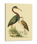 Pájaros De Agua Iii - Vision Studio | Cuadro decorativo de Canvas Lab