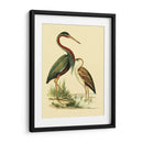 Pájaros De Agua Iii - Vision Studio | Cuadro decorativo de Canvas Lab