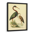 Pájaros De Agua Iii - Vision Studio | Cuadro decorativo de Canvas Lab