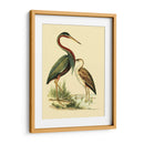 Pájaros De Agua Iii - Vision Studio | Cuadro decorativo de Canvas Lab