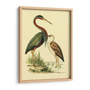 Pájaros De Agua Iii - Vision Studio | Cuadro decorativo de Canvas Lab