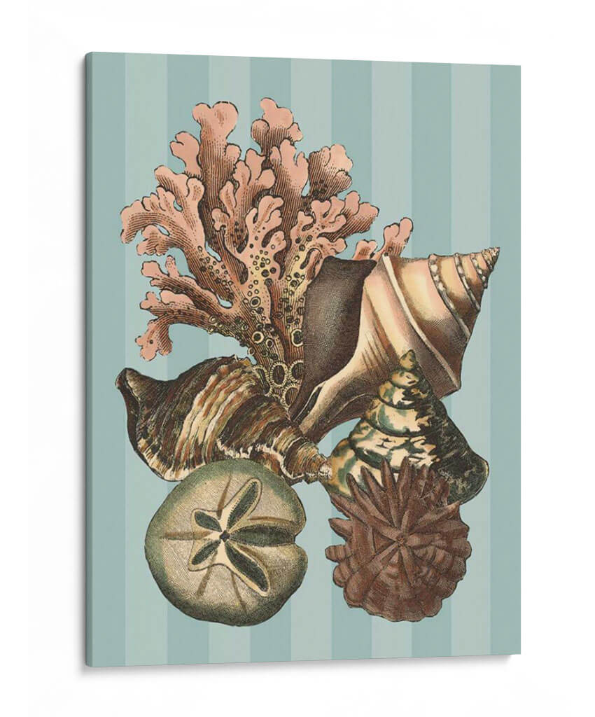 Concha Y Coral En Aqua I - Vision Studio | Cuadro decorativo de Canvas Lab