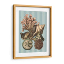Concha Y Coral En Aqua I - Vision Studio | Cuadro decorativo de Canvas Lab