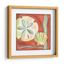 Conchas Pop Iv - Nancy Slocum | Cuadro decorativo de Canvas Lab