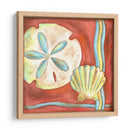 Conchas Pop Iv - Nancy Slocum | Cuadro decorativo de Canvas Lab