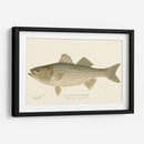 Bajo De Rayas - Denton | Cuadro decorativo de Canvas Lab