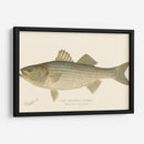 Bajo De Rayas - Denton | Cuadro decorativo de Canvas Lab