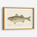 Bajo De Rayas - Denton | Cuadro decorativo de Canvas Lab