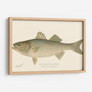 Bajo De Rayas - Denton | Cuadro decorativo de Canvas Lab