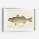 Bajo De Rayas - Denton | Cuadro decorativo de Canvas Lab