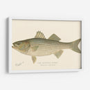 Bajo De Rayas - Denton | Cuadro decorativo de Canvas Lab