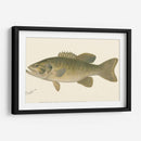 Bajo Negro De Boca Pequeña - Denton | Cuadro decorativo de Canvas Lab